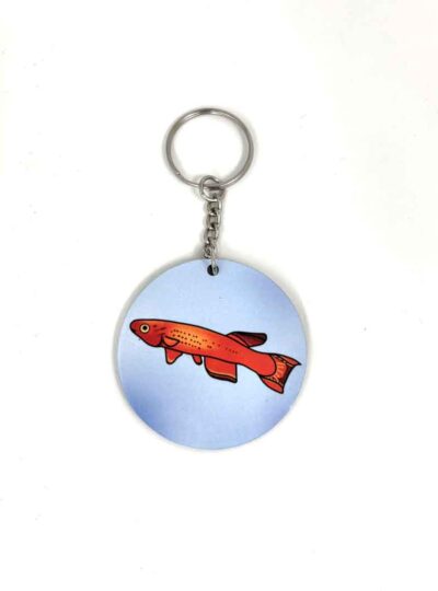 Aphyosemion Keychain