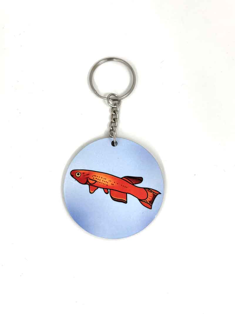 Aphyosemion Keychain